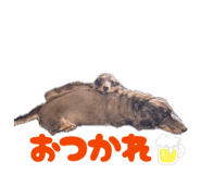 835641665