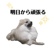 835641899