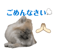835641905