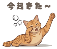 835652634