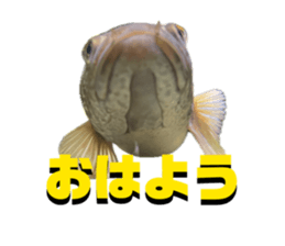 835655298