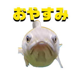 835655299