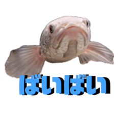 835655301