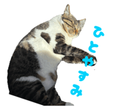 835670797