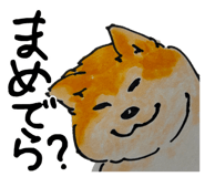 835671371