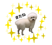 835673762