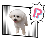 835673768