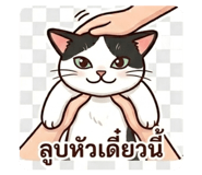 835673807