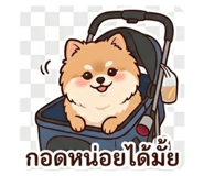 835673816