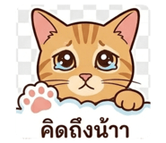 835673824
