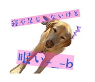 835674505