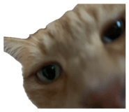 835702808