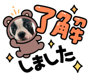 835710403