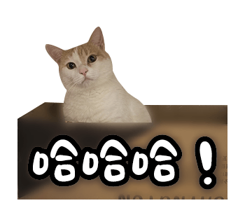 Fumeancats - Cats' Lives รูปที่ 1