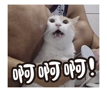 Fumeancats - Cats' Lives รูปที่ 5