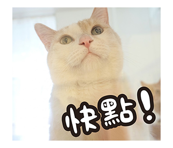 Fumeancats - Cats' Lives รูปที่ 6