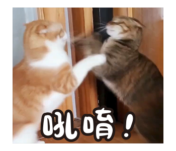 Fumeancats - Cats' Lives รูปที่ 8