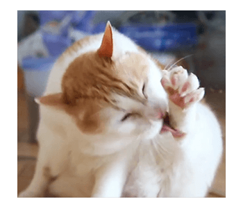 Fumeancats - Cats' Lives รูปที่ 9