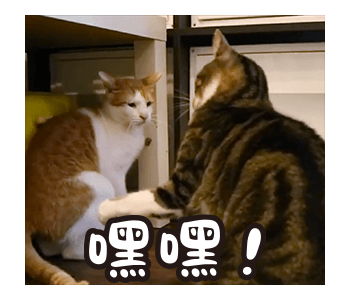 Fumeancats - Cats' Lives รูปที่ 16