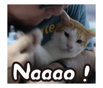 Fumeancats - Cats' Lives รูปที่ 17