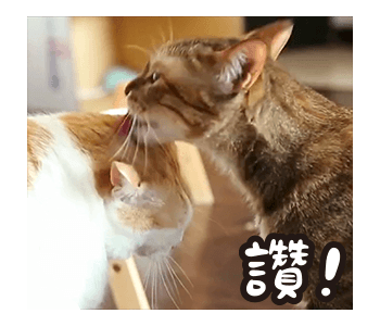Fumeancats - Cats' Lives รูปที่ 19