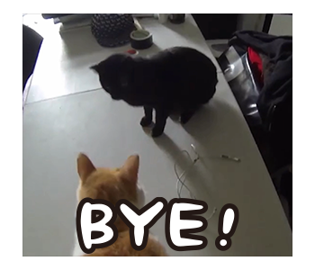 Fumeancats - Cats' Lives รูปที่ 23