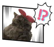 835712761