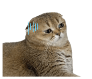 835714033