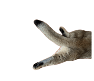 835714035