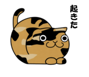 835716889