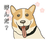 835716994