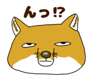 835717001