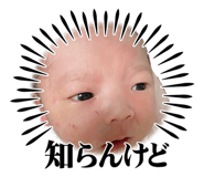 835720023