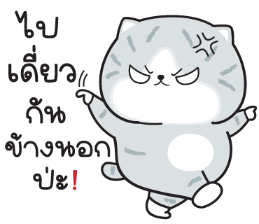 ลายที่ 9