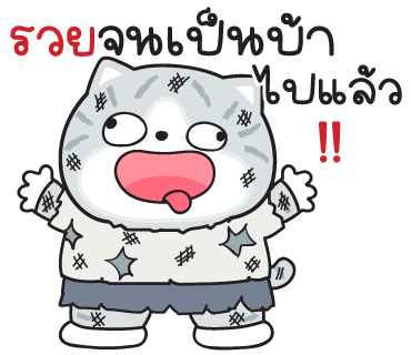 ลายที่ 11