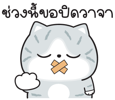 ลายที่ 17