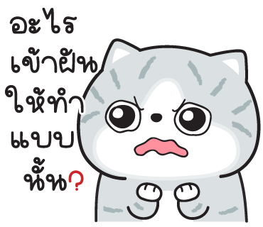 ลายที่ 29