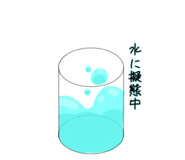 835729555