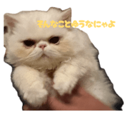 835730110