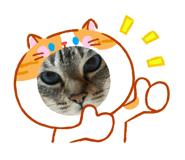 835730190