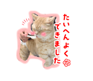 835731333