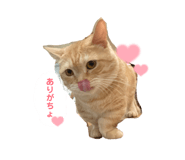 835731335