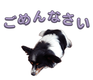 835732385