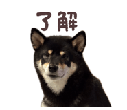 835733165