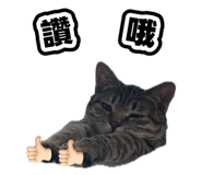 835734880