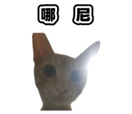 835734884