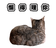835734886