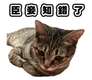 835734887