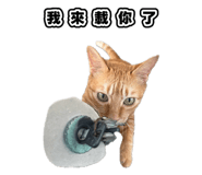 835734890