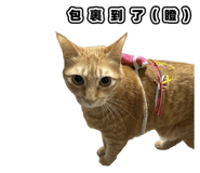 835734891
